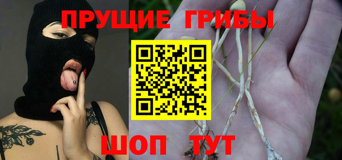 Галлюциногенные грибы мухоморы  Вход с VPN  Бузулук  Псилоцибиновые грибы MAGIC MUSHROOMS 